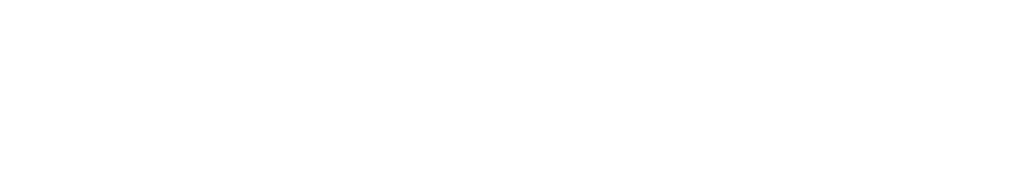 Marking Flags Logo White