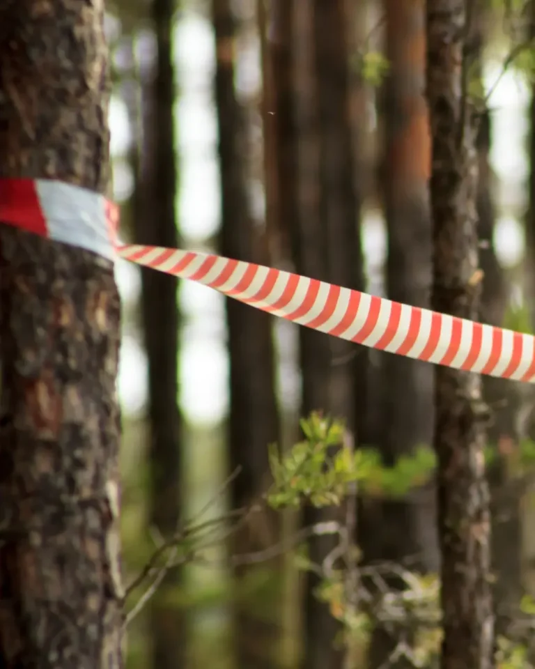 No need for extra marking equipment (3) Image description