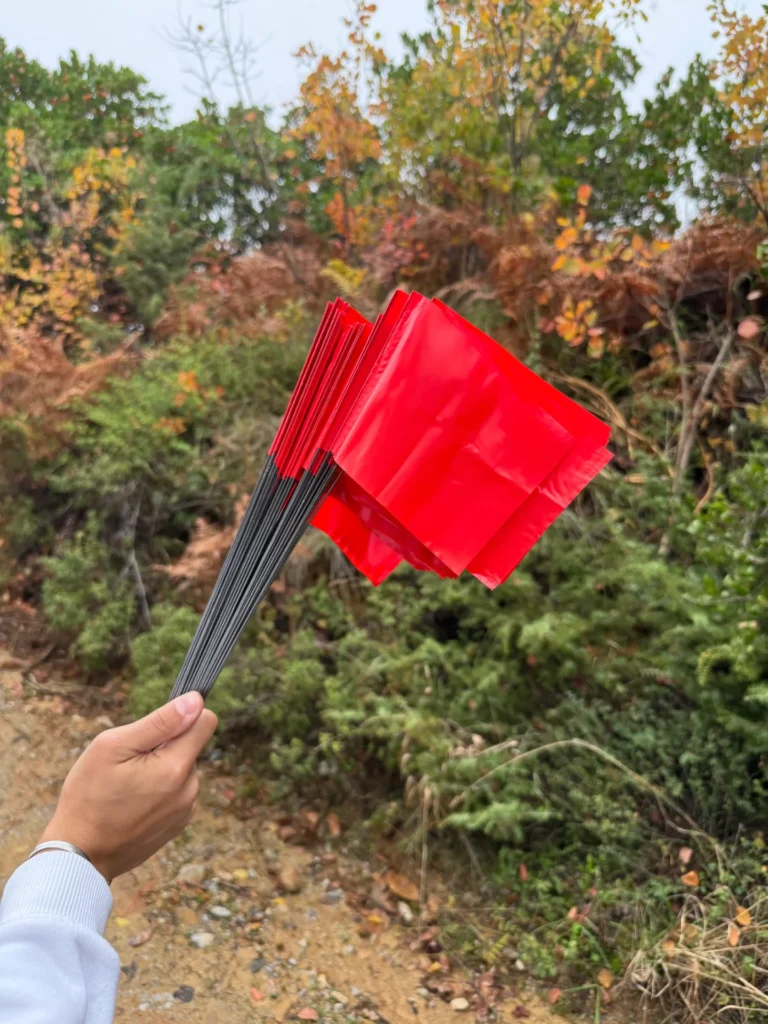 image00026 Image description