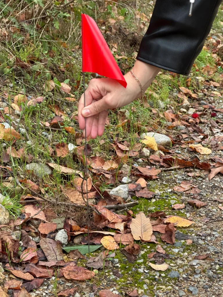 image00031 Image description